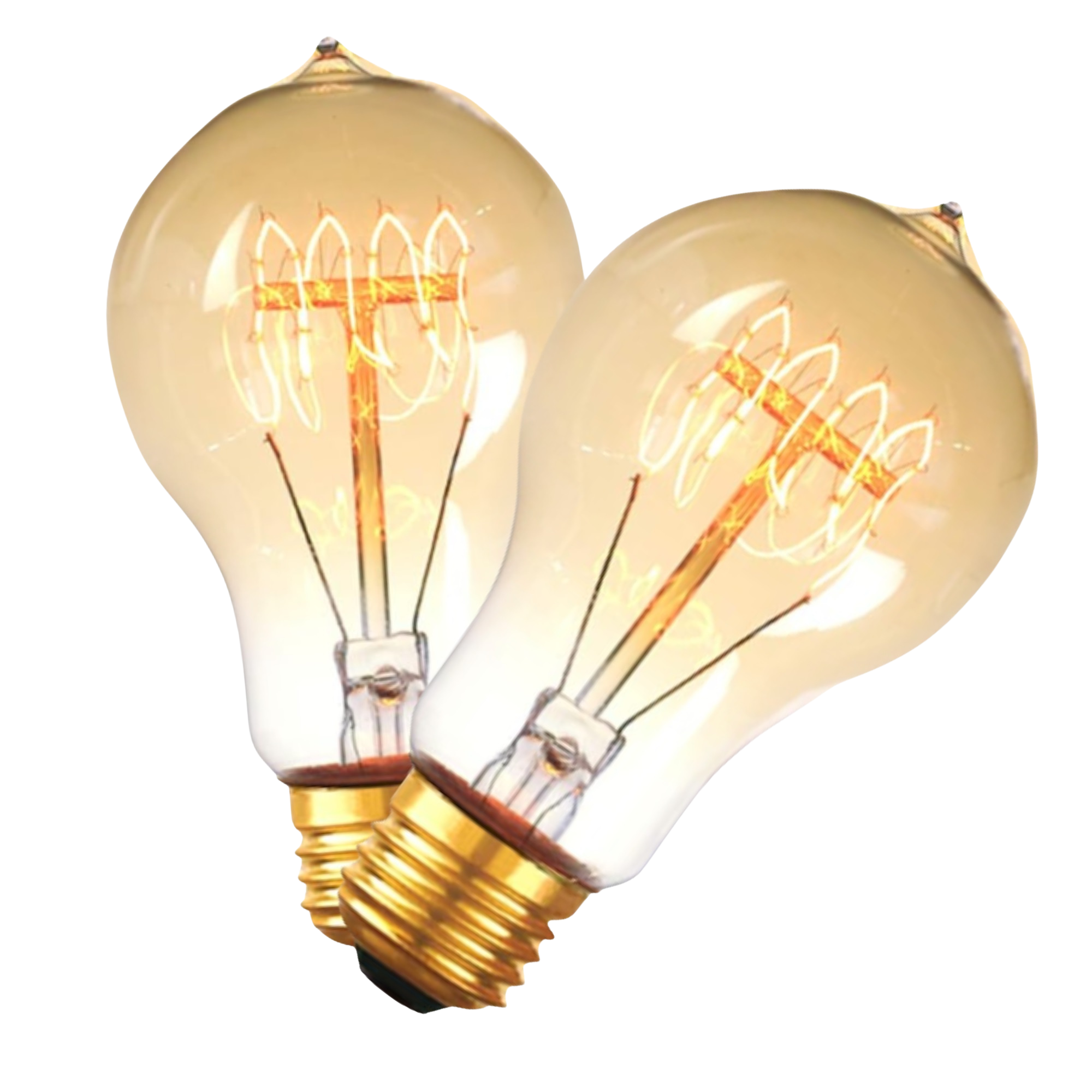 Bulbs & Accessories