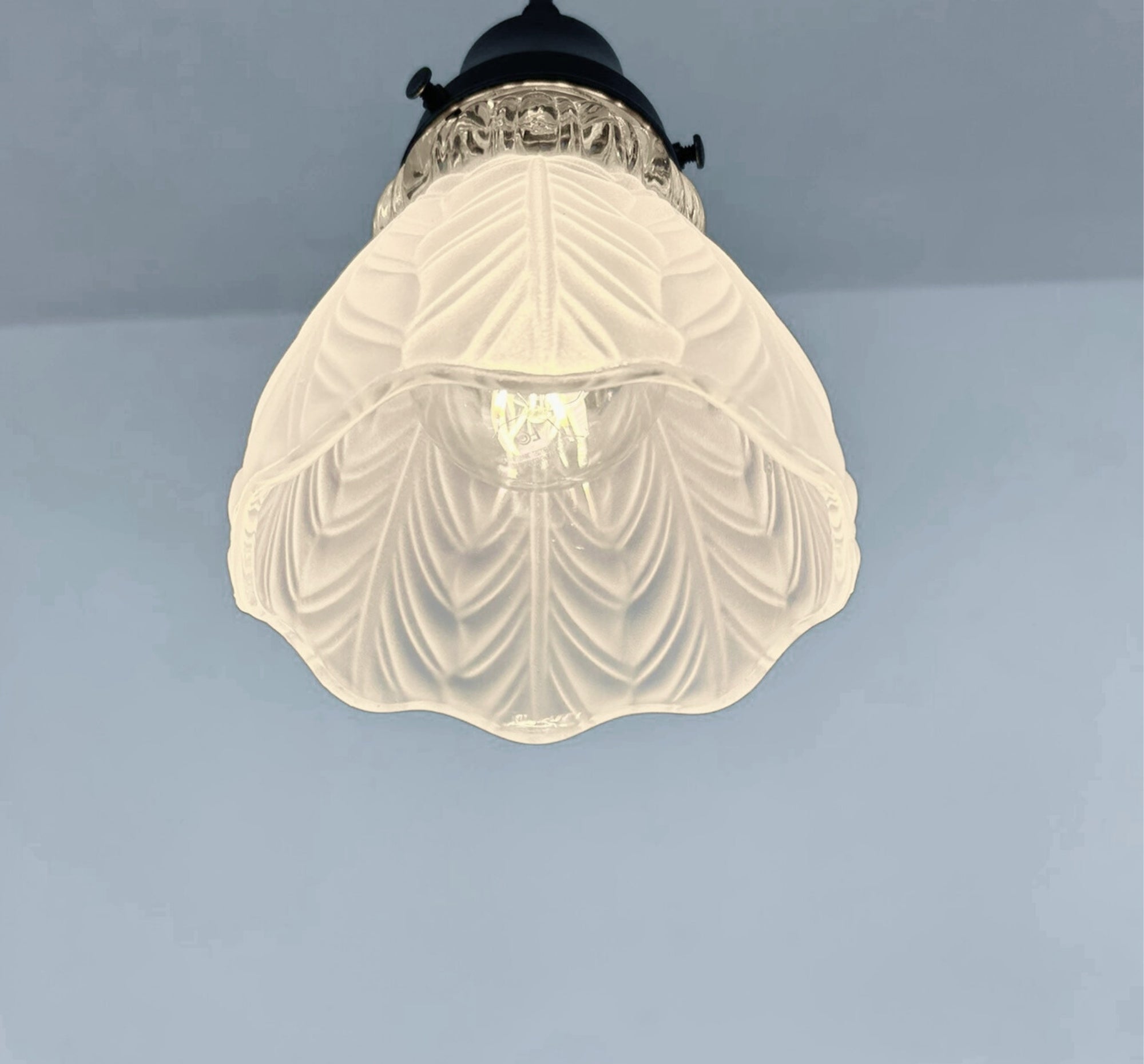 Frosted Leaf Clear Ribbed Glass Pendant