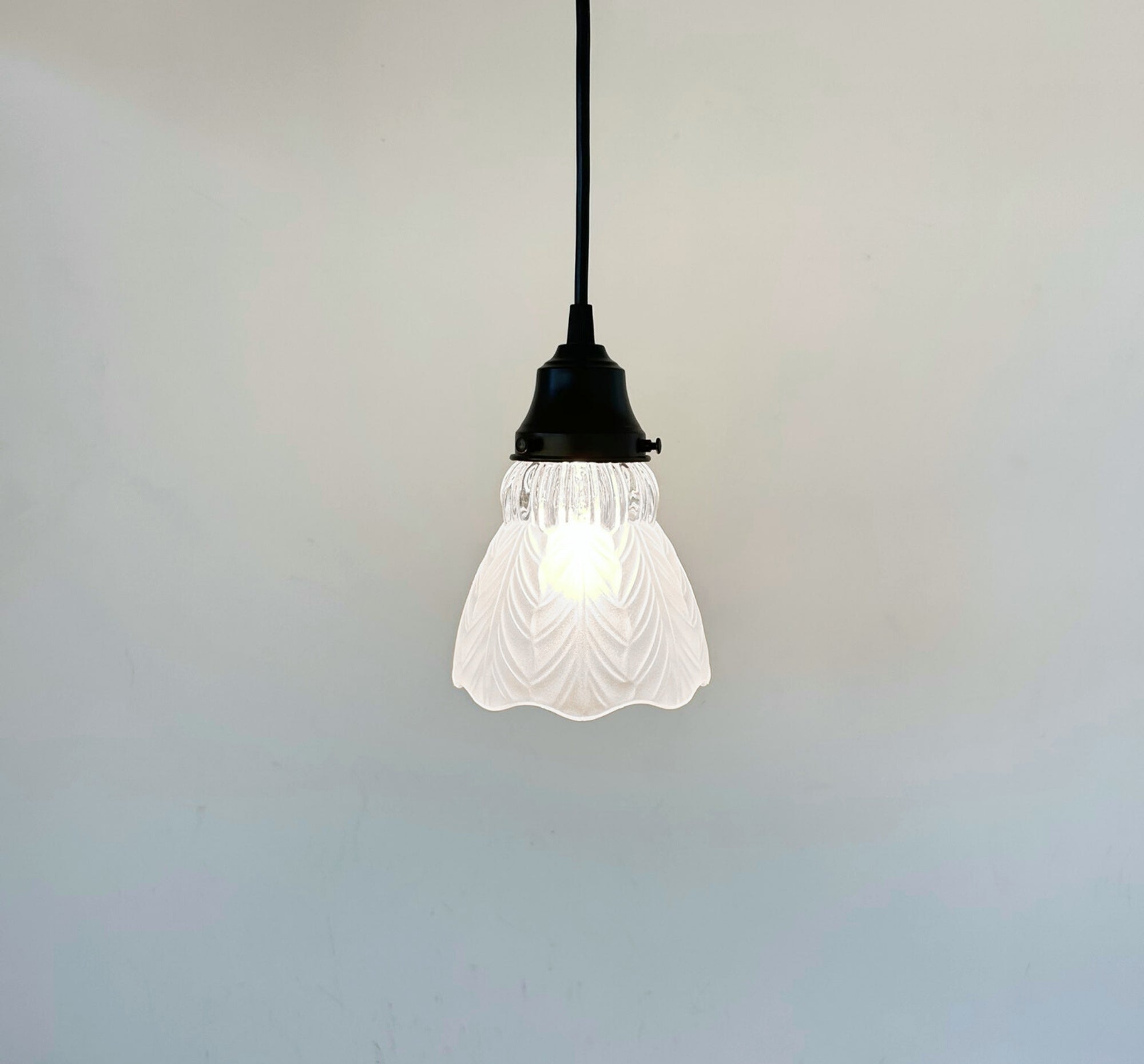 Frosted Leaf Clear Ribbed Glass Pendant