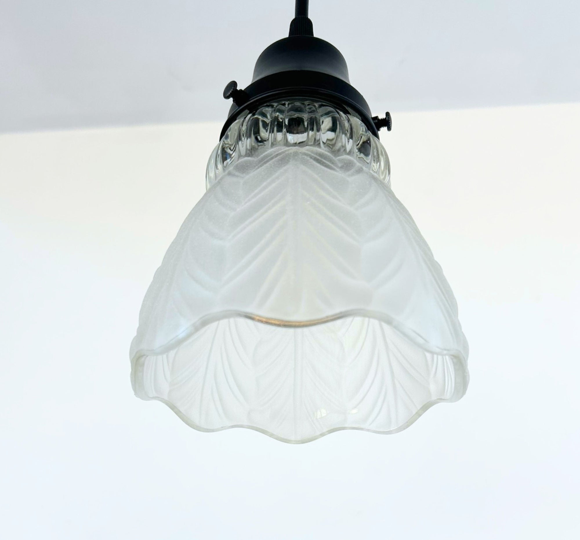 Frosted Leaf Clear Ribbed Glass Pendant