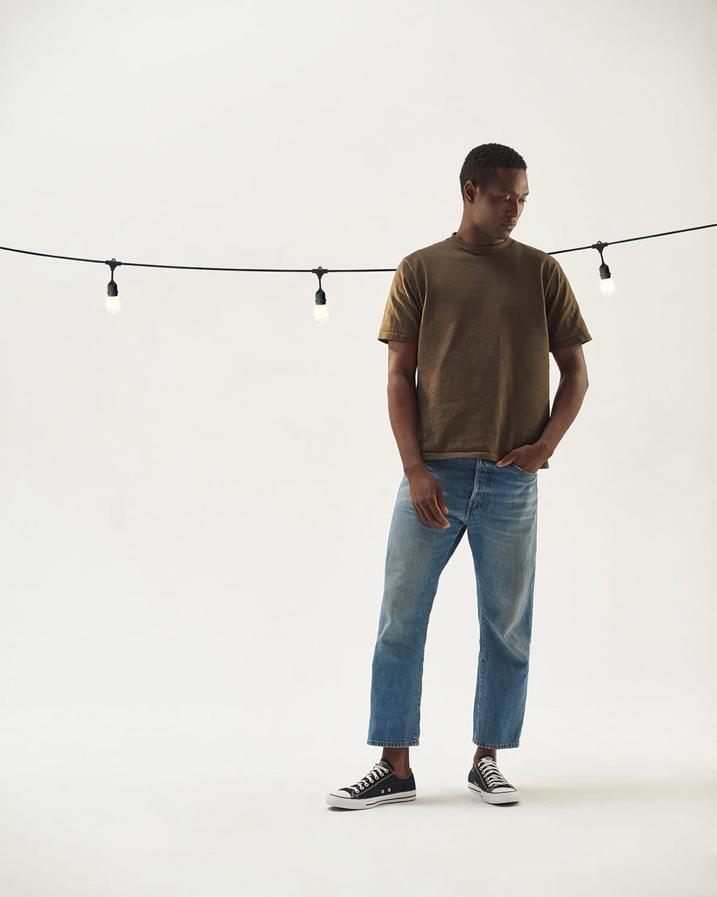 Ambience Pro LED Plug-in String Lights