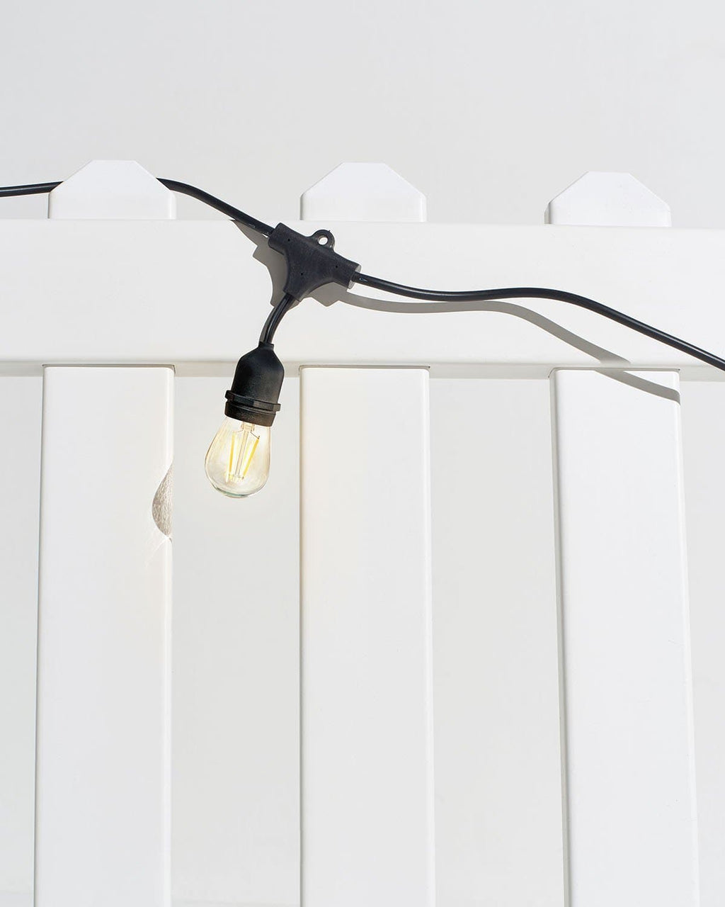 Ambience Pro LED Plug-in String Lights 1W