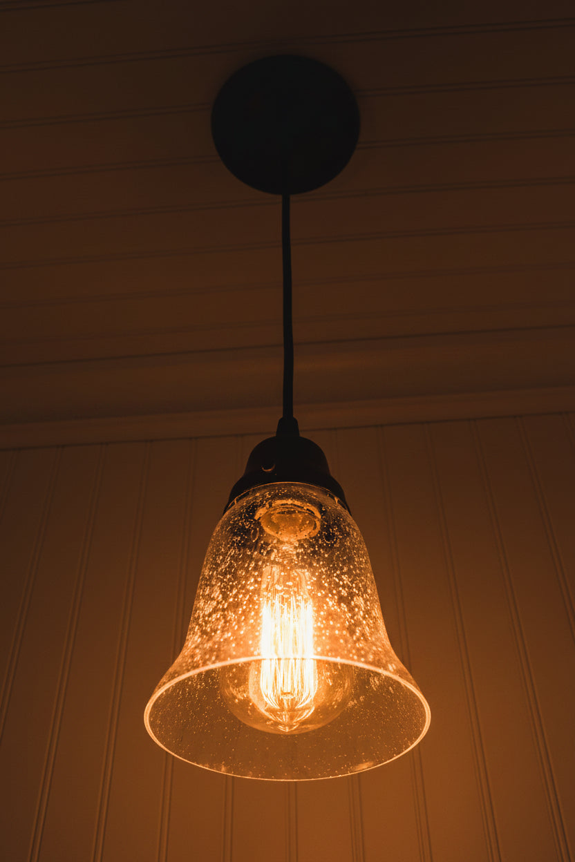 Clear Seeded Shade Glass Pendant Light