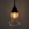Heavy Pressed Scallop Flare Holophane Pendant