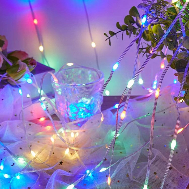 Multicolor 100 LED String Light