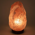 Himalayan Salt Lamp 110-250 LBS