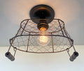 Farmhouse Chicken Wire Ceiling Fixture