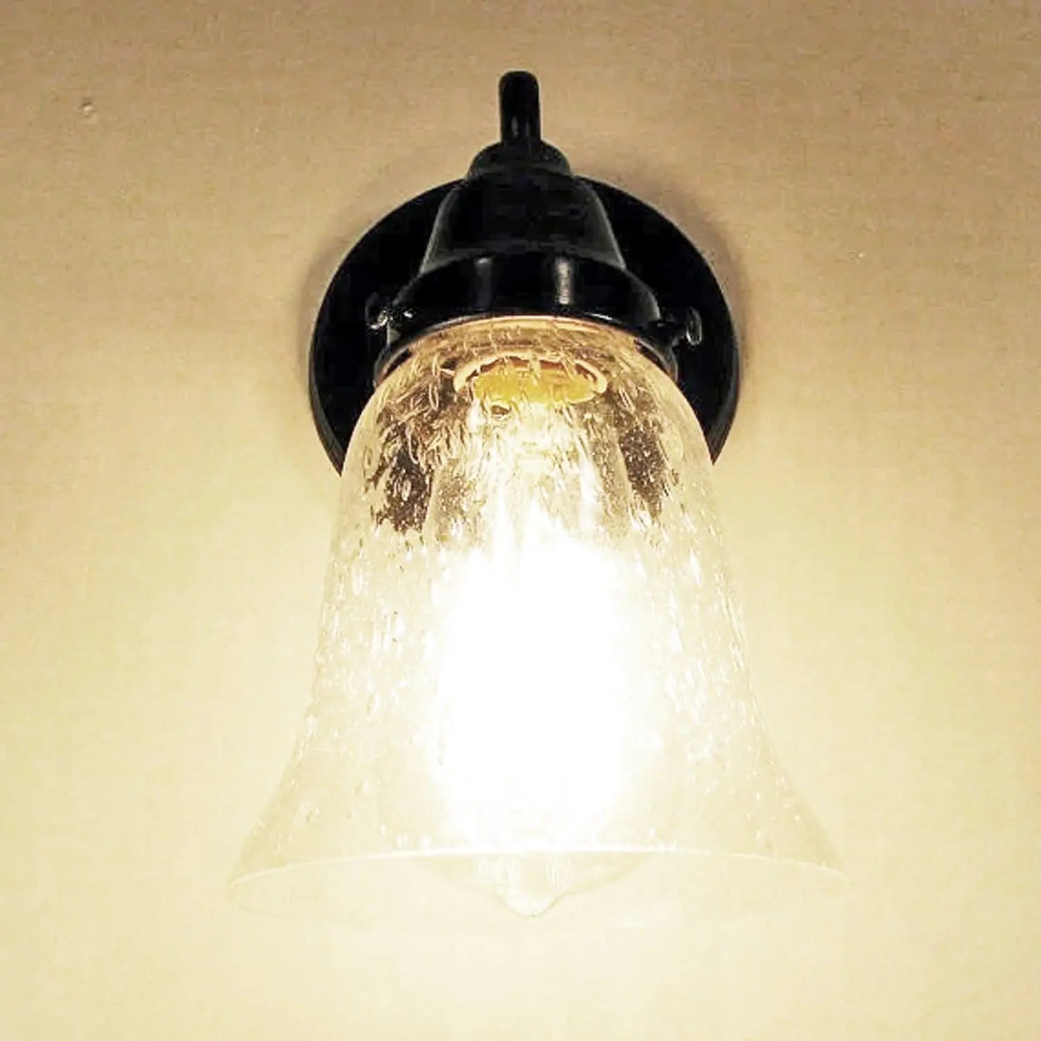 Seeded Glass Wall Sconce Light