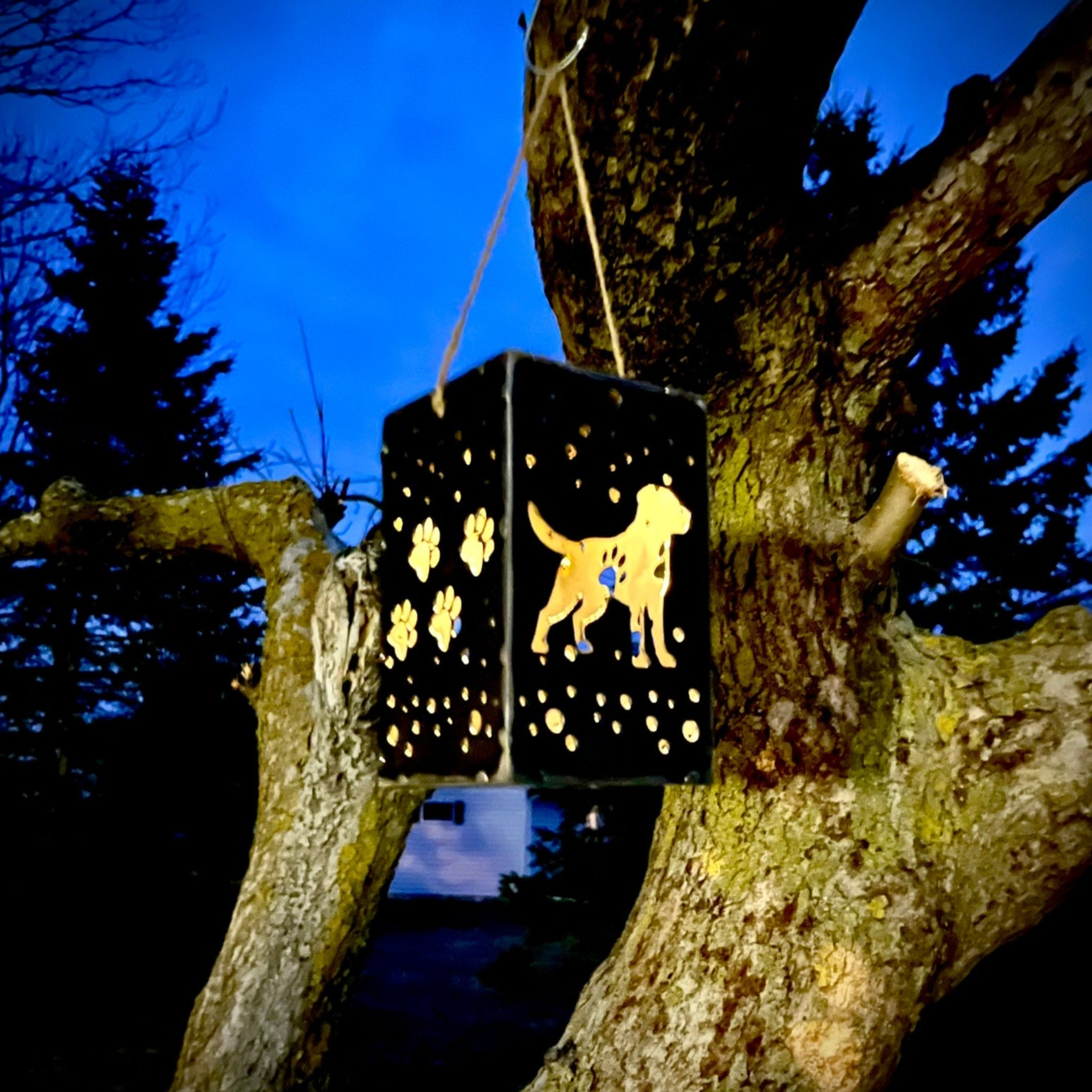 Puppy Cube Steel Hanging Solar Light