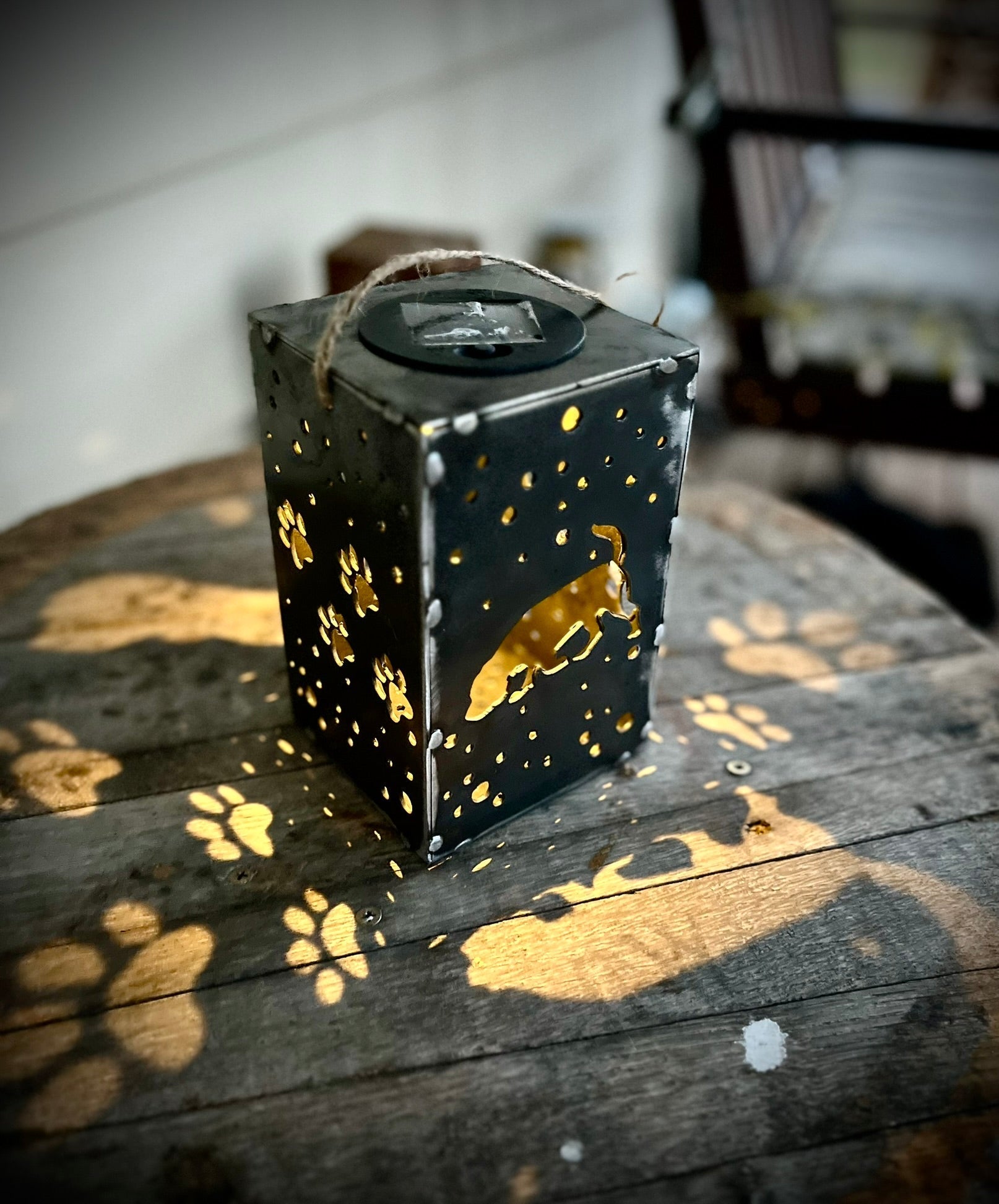 Puppy Cube Steel Hanging Solar Light
