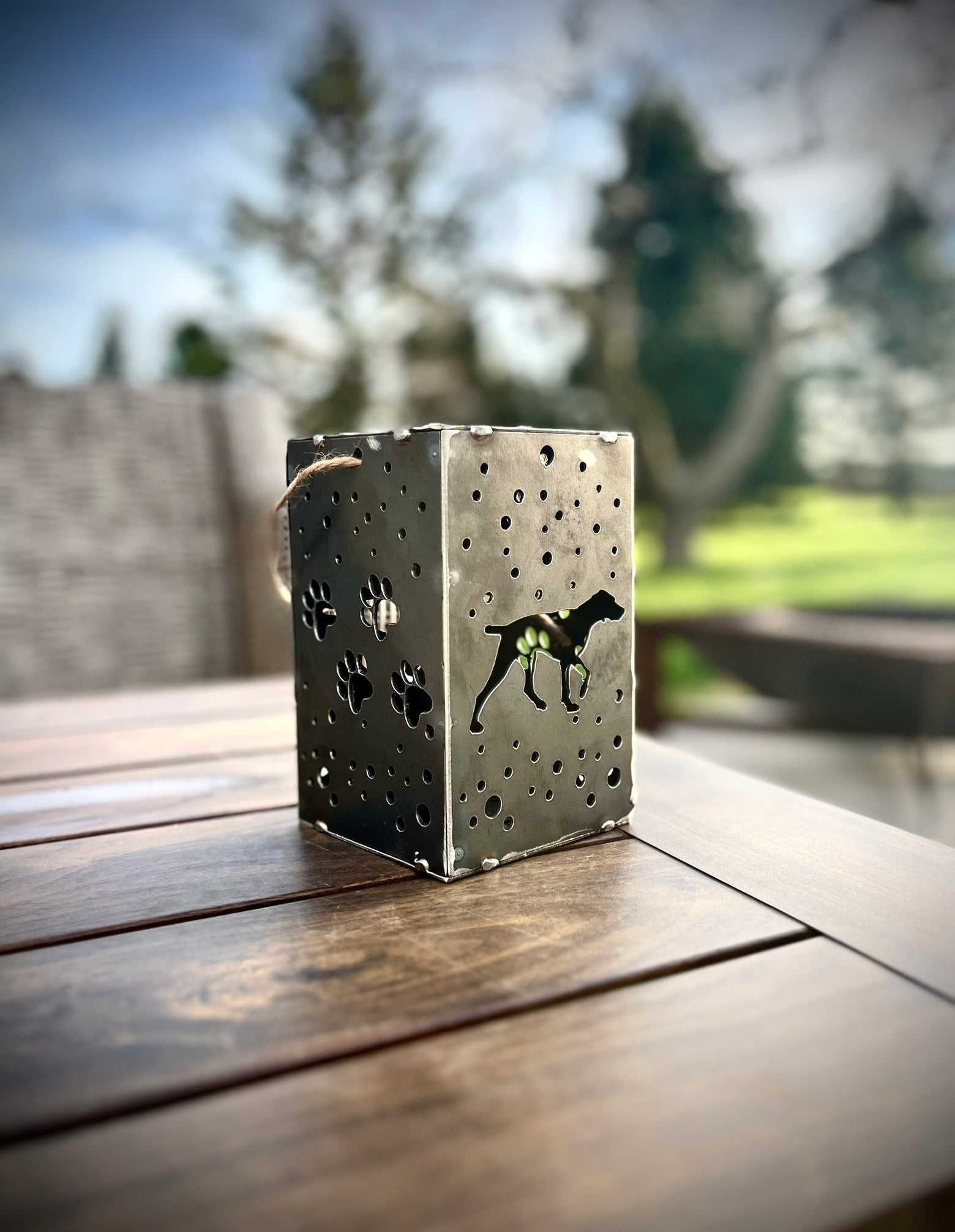 Puppy Cube Steel Hanging Solar Light