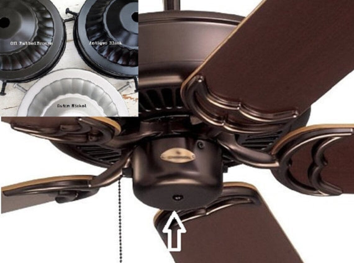 Modern Globe Ceiling Fan Light